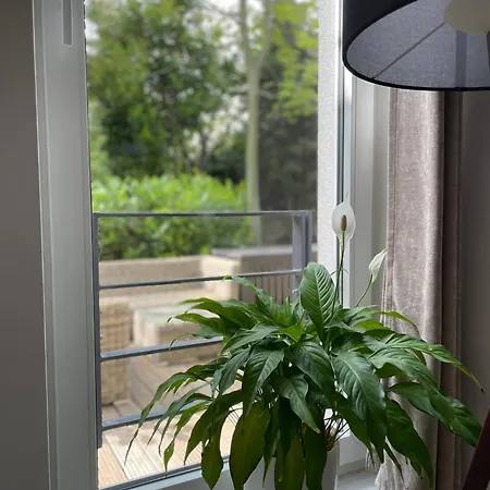 Zielone Zacisze Na Kamiennej Gorze W Gdyni *