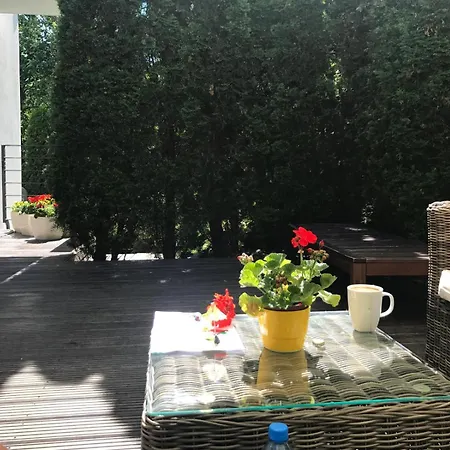 Zielone Zacisze Na Kamiennej Gorze W Gdyni Gdynia