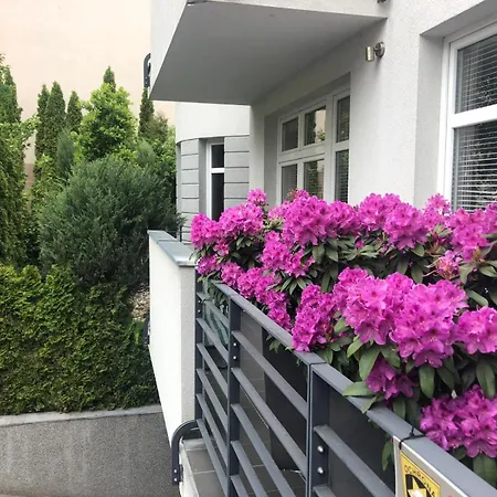 Zielone Zacisze Na Kamiennej Gorze W Gdyni * Gdynia