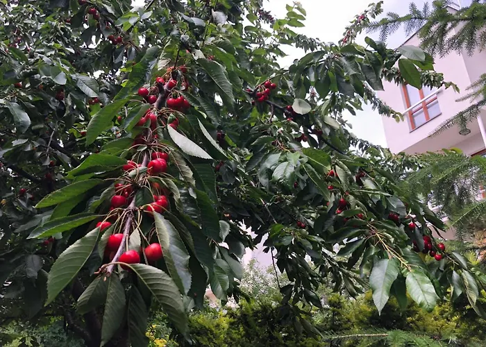 Будинок відпочинку Zielone Zacisze Na Kamiennej Gorze W Gdyni